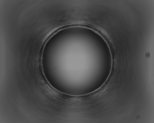 X0000091531212200708311303
