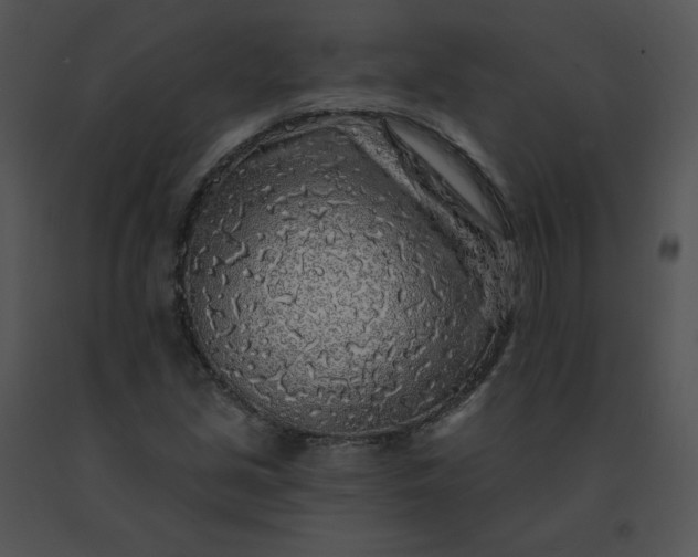 X0000091531213200708311303