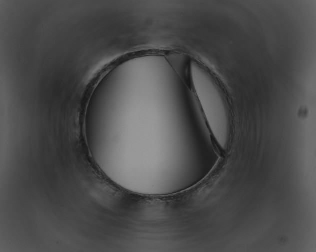 X0000091531214200708311303