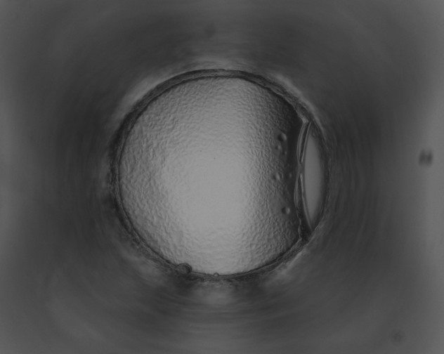 X0000091531215200708311303