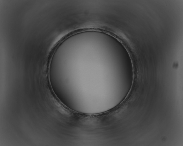 X0000091531216200708311303