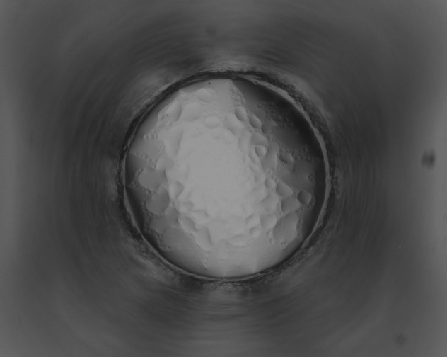 X0000091531217200708311303