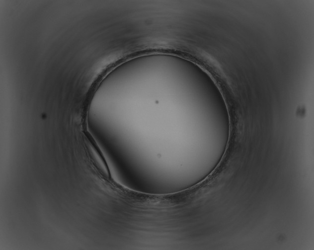 X0000091531218200708311303