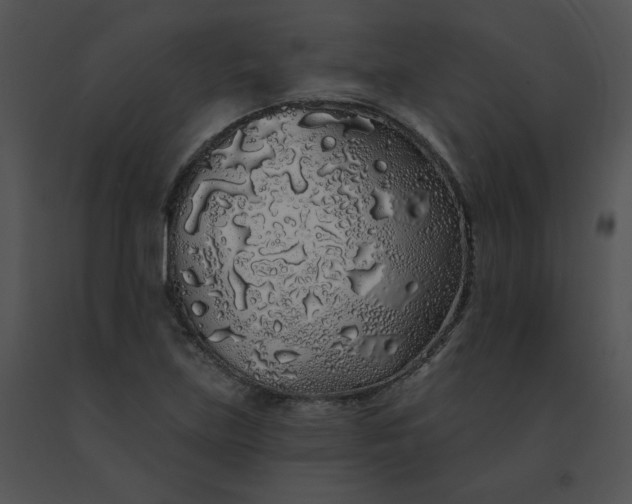 X0000091531219200708311303