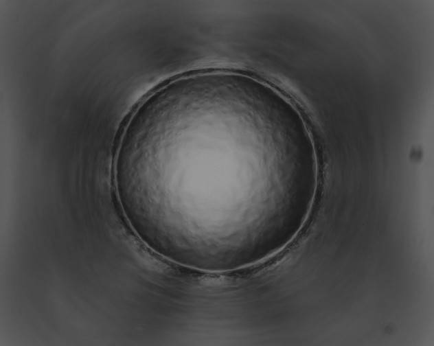 X0000091531220200708311303