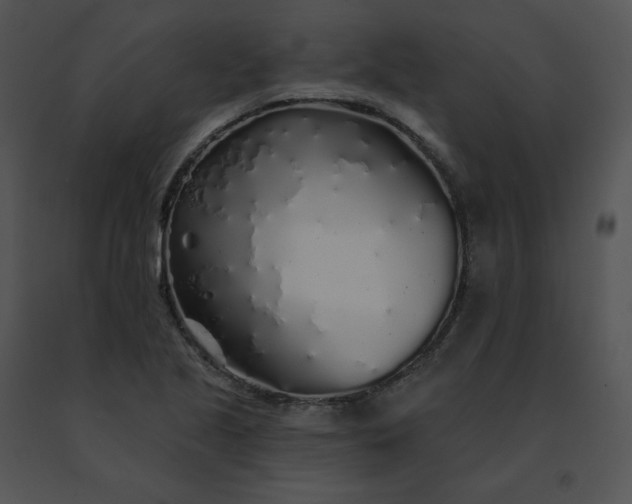 X0000091531221200708311303