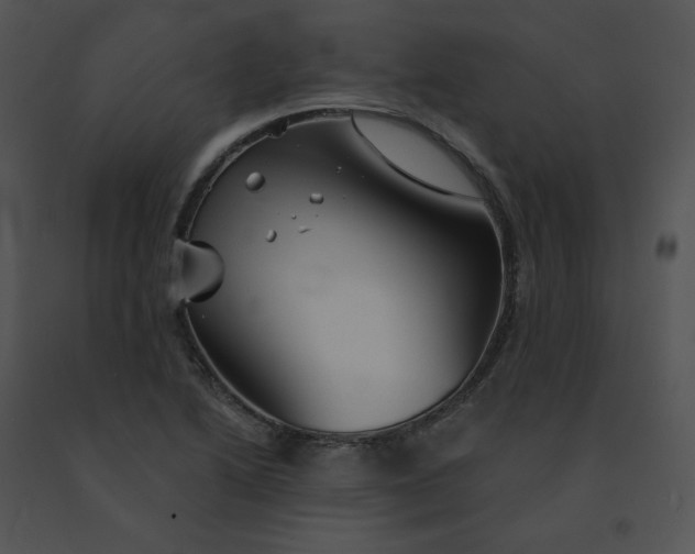 X0000091531222200708311303