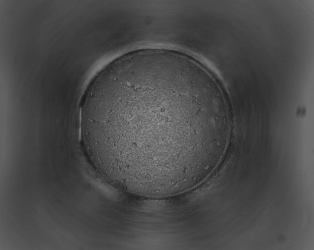 X0000091531223200708311303