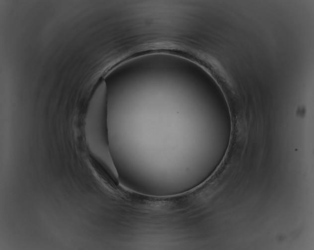 X0000091531225200708311303