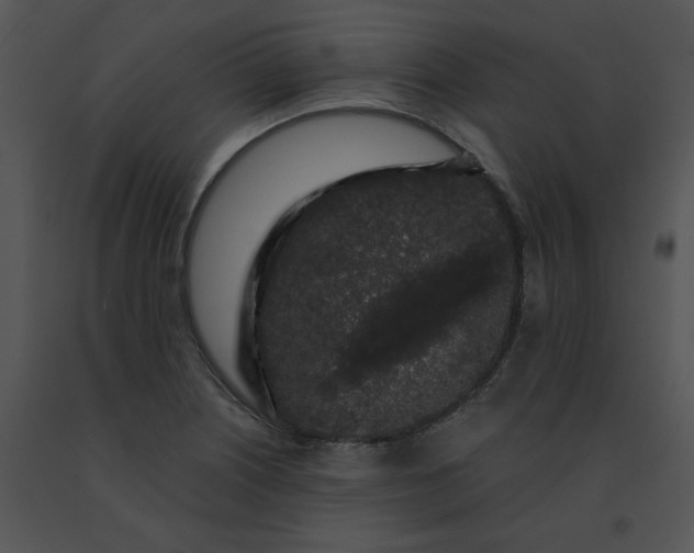 X0000091531226200708311303