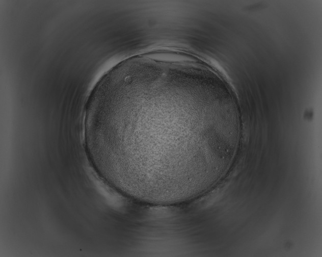 X0000091531227200708311303