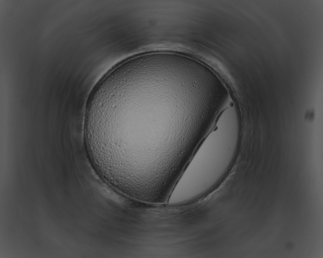 X0000091531228200708311303