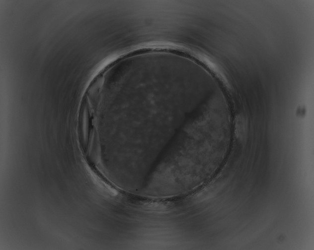 X0000091531229200708311303