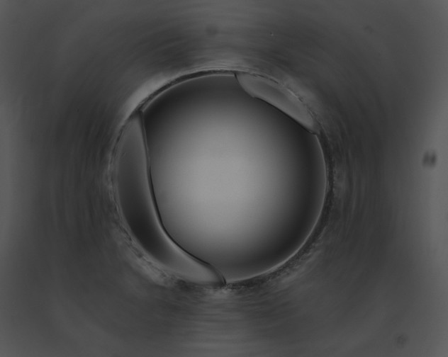 X0000091531230200708311303