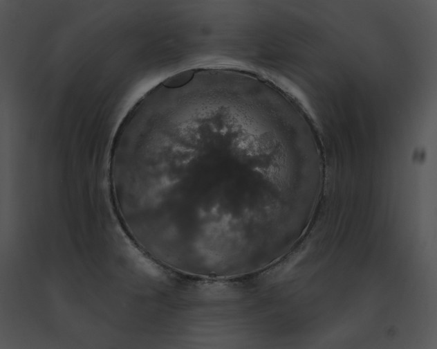 X0000091531231200708311303