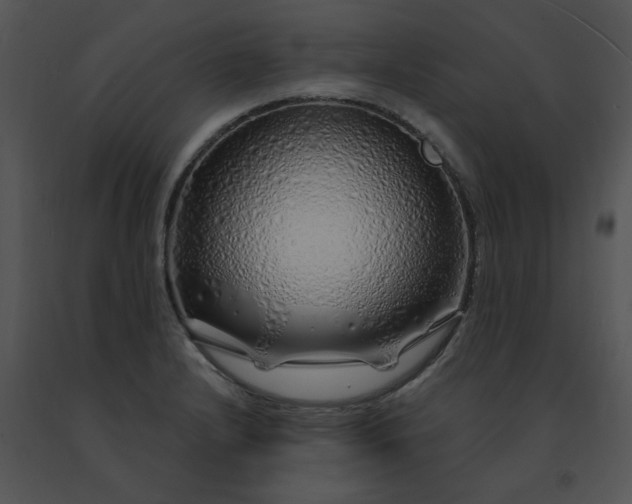 X0000091531232200708311303