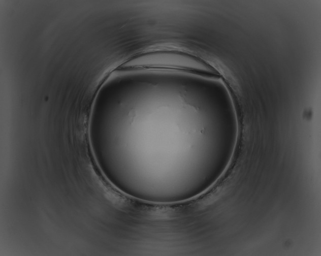 X0000091531233200708311304