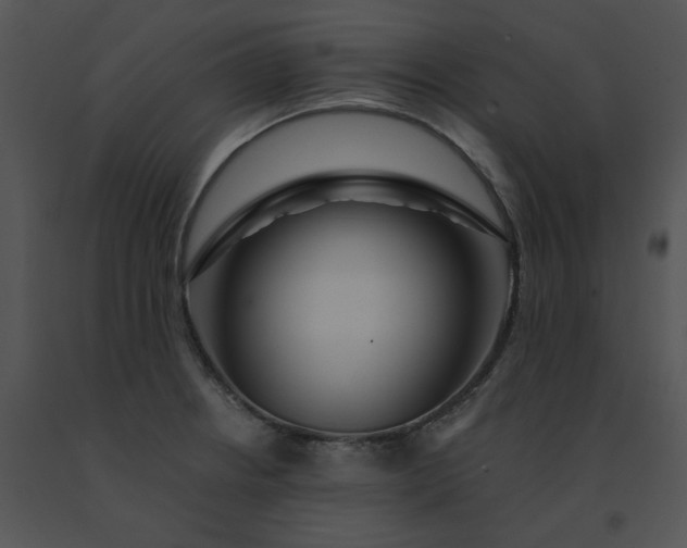 X0000091531234200708311304