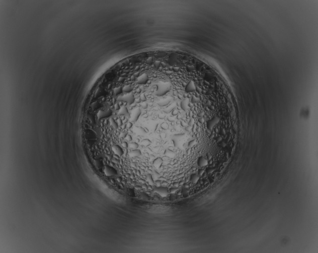 X0000091531235200708311304