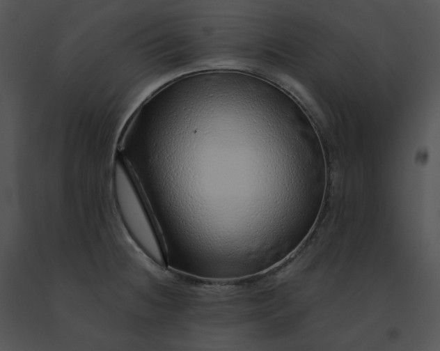 X0000091531236200708311304