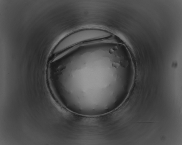 X0000091531237200708311304