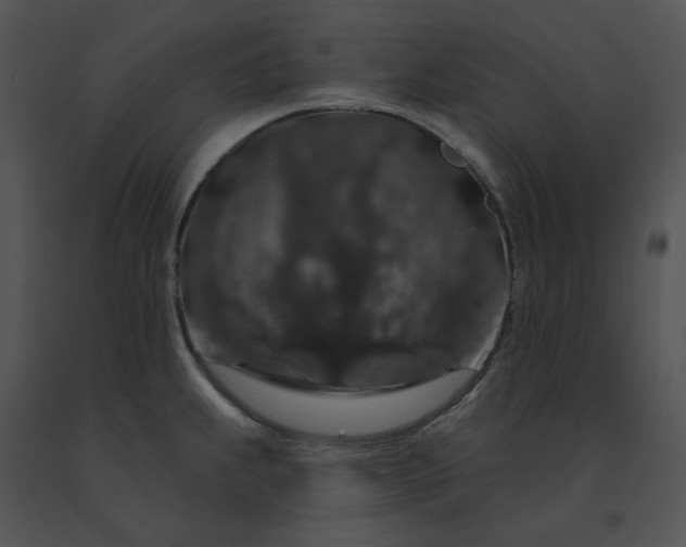 X0000091531239200708311304