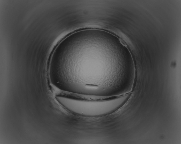 X0000091531240200708311304
