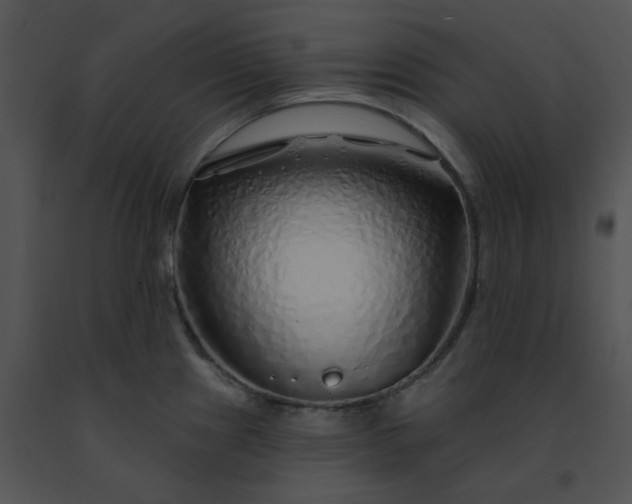 X0000091531241200708311304