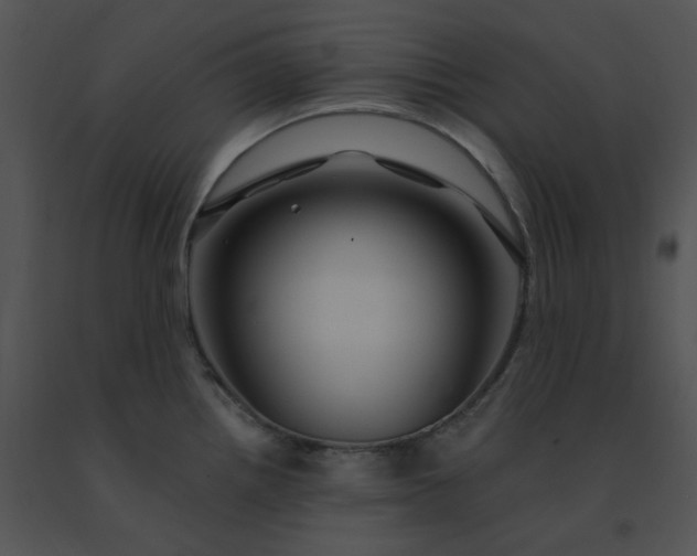 X0000091531242200708311304
