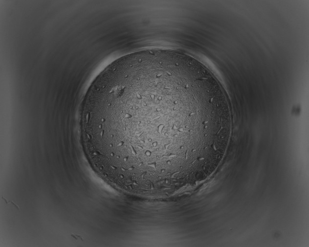 X0000091531243200708311304