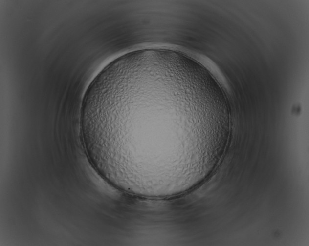 X0000091531244200708311304