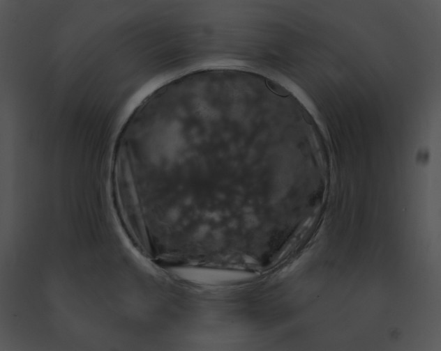 X0000091531245200708311304