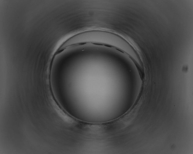 X0000091531246200708311304