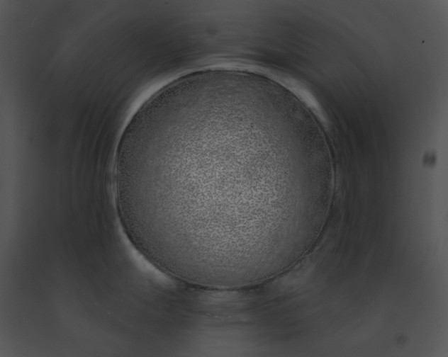 X0000091531247200708311304