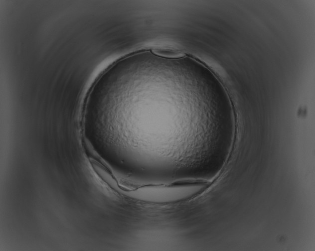 X0000091531248200708311304