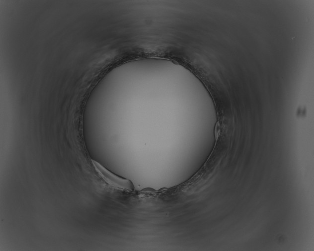 X0000091531249200708311303