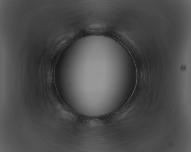 X0000091531250200708311303