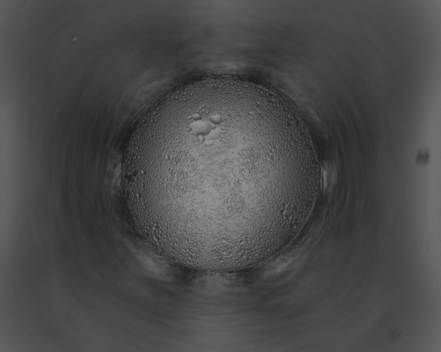 X0000091531251200708311303