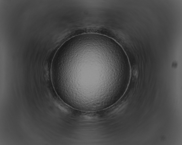 X0000091531252200708311303