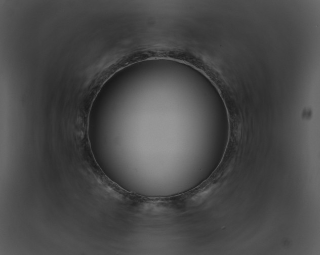 X0000091531253200708311303
