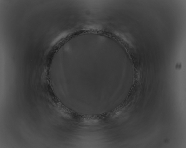 X0000091531254200708311303