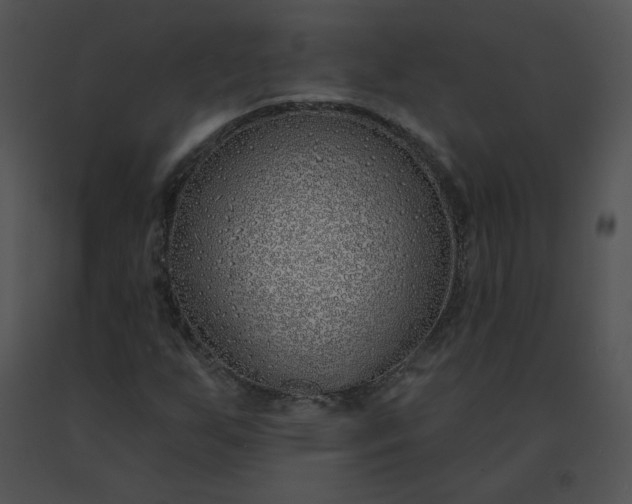 X0000091531255200708311303