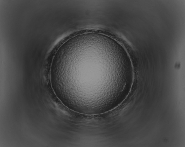 X0000091531256200708311303