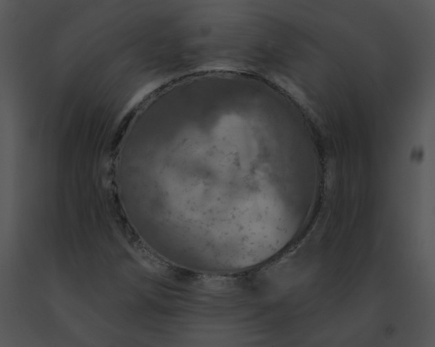 X0000091531258200708311303