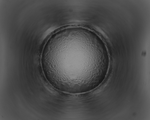 X0000091531259200708311303