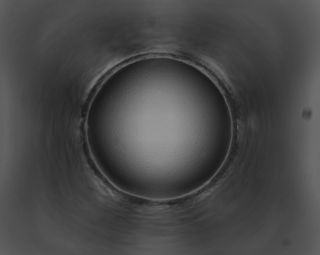 X0000091531260200708311303