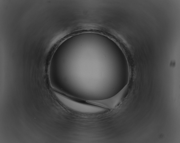 X0000091531261200708311303
