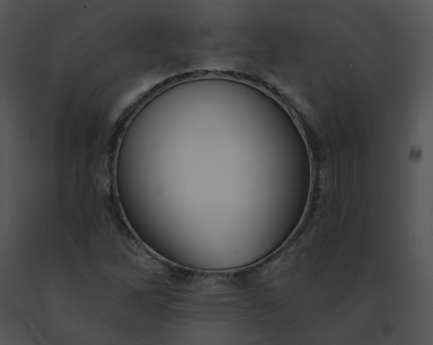 X0000091531262200708311303
