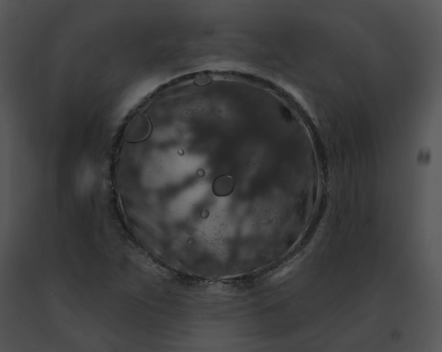 X0000091531263200708311303
