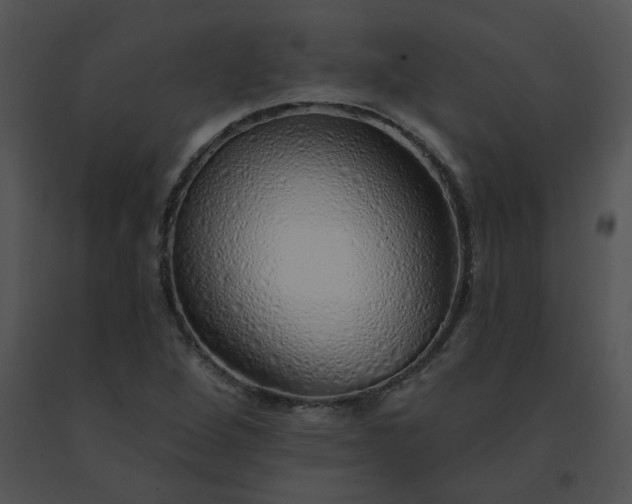 X0000091531264200708311303